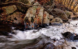 woodlawn rushing water.jpg